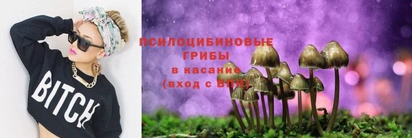 крисы Абдулино