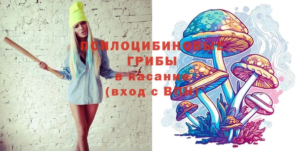 крисы Абдулино