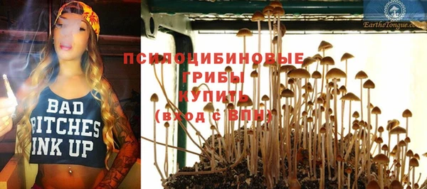 крисы Абдулино