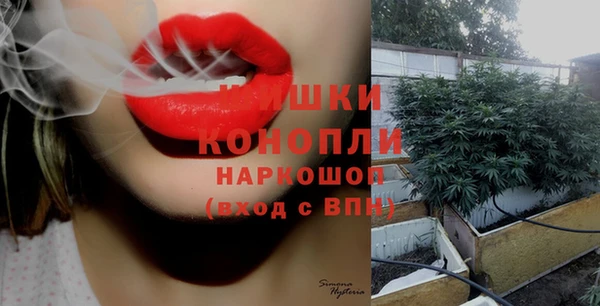 крисы Абдулино