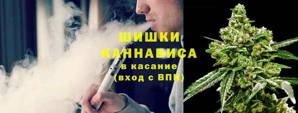крисы Абдулино