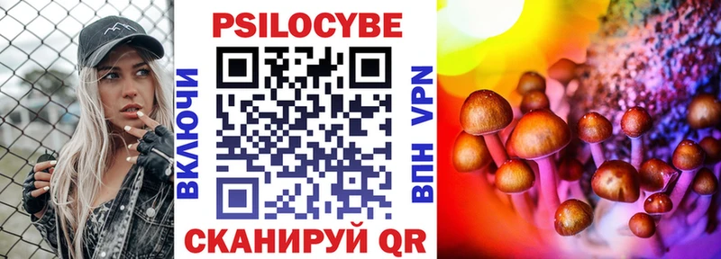 мега ССЫЛКА  Дубовка  Галлюциногенные грибы GOLDEN TEACHER 